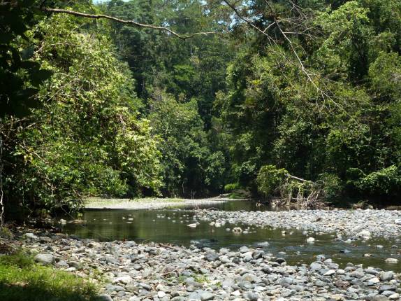 O rio Claro, no Parque Nacional Corcovado, na Península de Osa, no sul da Costa Rica